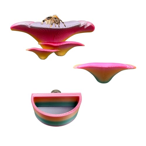 Heyshapeing Pilz-Regal für springende Spinnen, magnetisch verdeckter Lebensraum und Gehege, Dekorzubehör, Klettern, Futterplattformen und dekorative grüne Regale für springende Spinnen (bunt) von Heyshapeing