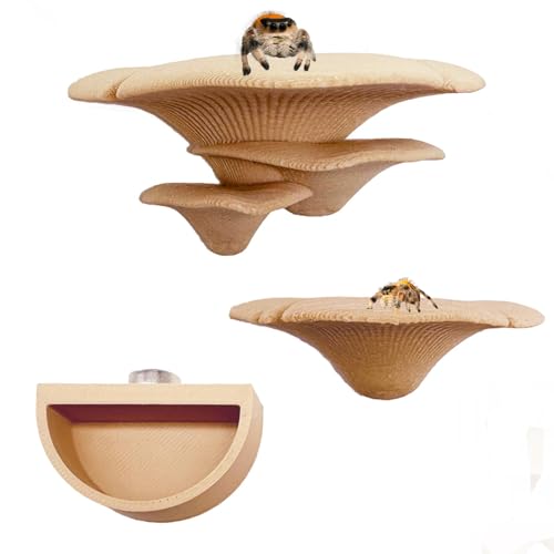 Heyshapeing Pilz-Regal mit Springspinne – magnetisch verdeckter Lebensraum & Gehege, Dekorzubehör, Klettern, Futterplattformen und dekorative grüne Regale für springende Spinnen (Beige) von Heyshapeing