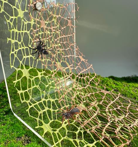 Heyshapeing Springspinnen-Babitat-Zubehör (3 grüne und 3 bronzefarbene – springende Spinne, Moosband mit Magneten für verbessertes Gehege und Klettererlebnis), 6 Stück von Heyshapeing