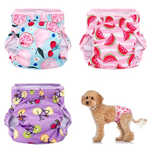 Heyu-Lotus Wiederverwendbare Hundewindeln für Hündinnen, waschbar, für Hündinnen, für kleine und mittelgroße Inkontinenz, Größe S, 30–39 cm, 3 Stück von Heyu-Lotus