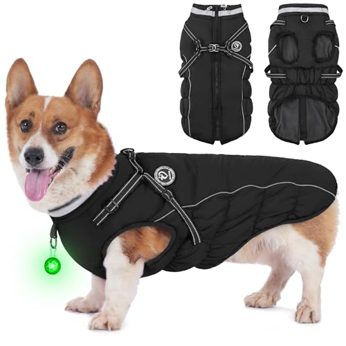 HezzLuv Hundemantel Winter, Hundemantel Wasserdicht, Warme Hundejacke mit Geschirr, Reflektierende Streifen, LED-Leuchtkragen, Wintermäntel für Hunde HezzLuv Hundemantel Winter, Hundemantel Wasserdicht, Warme Hundejacke mit Geschirr, Reflektierende Streifen, LED-Leuchtkragen, Wintermäntel für Hunde von HezzLuv