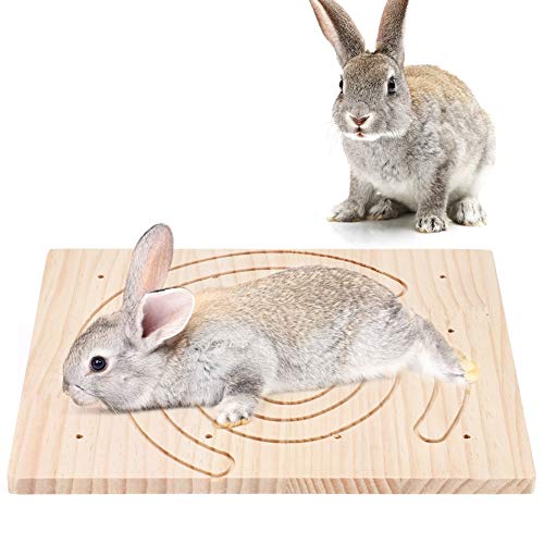 Klauen Kratzbrett Pet Hamster Rabbit Holzklauen Kratzbrett Holzklauen Kratzbrett für Pet Igel Eichhörnchen Kaninchen Play Toy Cage Zubehör Klauen Kratzbrett Pet Hamster Rabbit Holzklauen Kratzbrett Holzklauen Kratzbrett für Pet Igel Eichhörnchen Kaninchen Play Toy Cage Zubehör von Pssopp