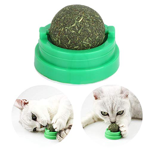 Hffheer Pet Natural Katzenminze Ball Spielzeug Kitty Kauspielzeug Essbare Katzenminze Grün Gesundes Essen Gesundes Essen Reinigung Zähne Katze Zubehör von Pssopp