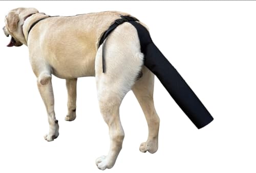 HhBdy Hundeschwanzschutz, Hunde-Wundschutz, schwarze Schutzabdeckung für Wunden, Hundegeschirr mit Schwanzschutz, Hundeenden, Schutzhülse (Größe L, 56 x 30 cm) von HhBdy