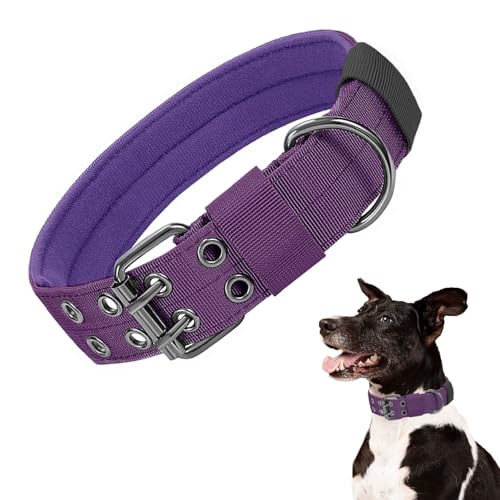 Taktisches Hundehalsband, Militär-Hundehalsband, verstellbar, Nylon, robuste Metallschnalle mit schwarzem Aufnäher, taktische Halsbänder für mittelgroße und große Hunde (Violett, L) von HhiMyOct