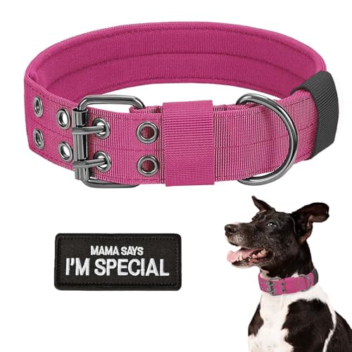 Taktisches Hundehalsband, Militär-Hundehalsband, verstellbar, Training, Nylon, robuste Metallschnalle mit schwarzem Aufnäher, taktische Halsbänder für mittelgroße und große Hunde (Rosa, XL) von HhiMyOct