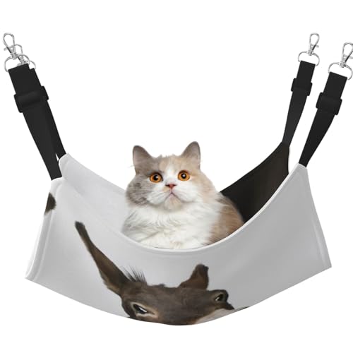 Hhwwtye Katzenbett mit Eselmotiv, freistehend, für drinnen und draußen, einfache Montage Hhwwtye Katzenbett mit Eselmotiv, freistehend, für drinnen und draußen, einfache Montage von Hhwwtye