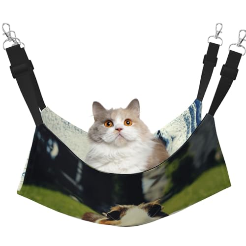 Hhwwtye Meerschweinchen-Katzenbett, freistehendes Katzenbett für drinnen und draußen, einfache Montage Hhwwtye Meerschweinchen-Katzenbett, freistehendes Katzenbett für drinnen und draußen, einfache Montage von Hhwwtye