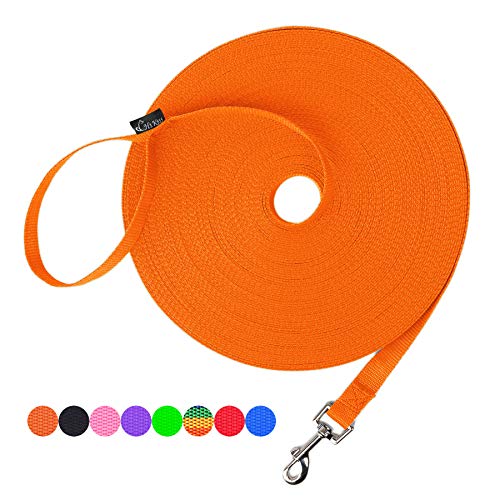 Hi Kiss Hund/Welpen, Recall Training gehorcht Agility Leine – 15 ft 20 ft 30 ft 50 FT 100 FT Training Leine – Ideal für Training, Spielen, Camping, oder Backyard, 50 Feet, Orange Hi Kiss Hund/Welpen, Recall Training gehorcht Agility Leine – 15 ft 20 ft 30 ft 50 FT 100 FT Training Leine – Ideal für Training, Spielen, Camping, oder Backyard, 50 Feet, Orange von Hi Kiss