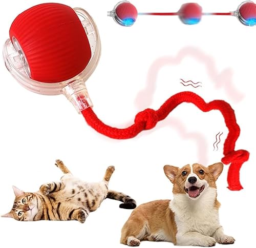 HiCWX Interaktiver rollender Katzenball, 2025, verbesserter automatischer Katzenball, Hundespielzeug, interaktives Katzenspielzeug, automatisches Katzenspielzeug, selbstbewegliches Hundespielzeug, HiCWX Interaktiver rollender Katzenball, 2025, verbesserter automatischer Katzenball, Hundespielzeug, interaktives Katzenspielzeug, automatisches Katzenspielzeug, selbstbewegliches Hundespielzeug, von HiCWX