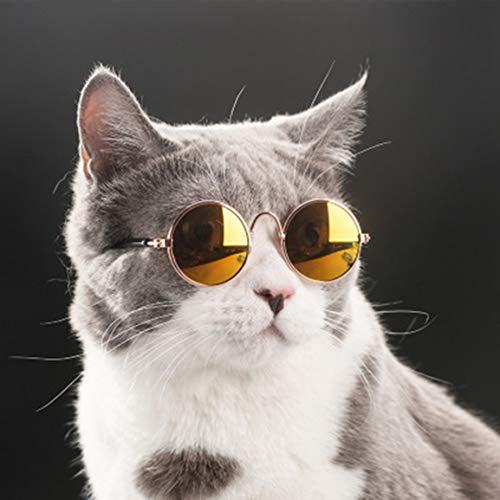 Haustier Sonnenbrille Mode Sonnenbrille Teddy Hund Katze Brille Haustier Zubehör Mode Lustige Kopfbedeckung Katze Brille ➤ HibiscusElla von HibiscusElla