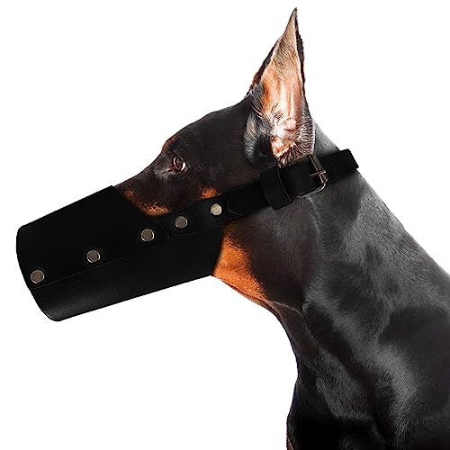 Hide & Drink, Secure Maulkorb für Hunde, handgefertigt, aus dickem Vollnarbenleder, Anthrazit-Schwarz (groß) von Hide & Drink