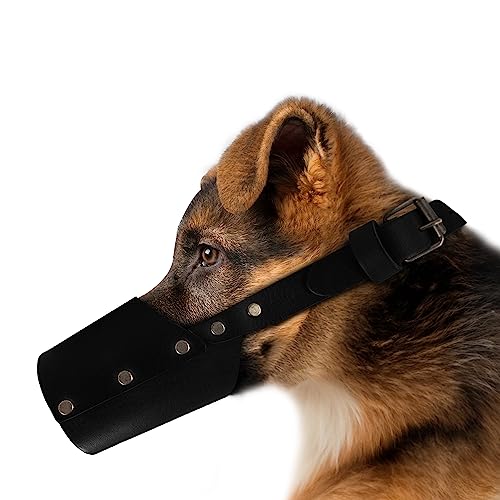 Hide & Drink, Secure Maulkorb für Hunde, handgefertigt aus dickem Vollnarbenleder (Medium) von Hide & Drink