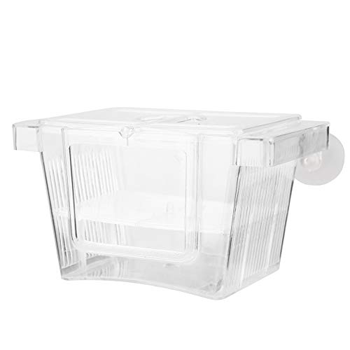Hidyliu Fisch Teiler Teiler 14 × 8 × 8 Acryl Aquarium Fisch Züchter Box Brut Schraffur Inkubator Isolation Box Kleine Größe Hidyliu Fisch Teiler Teiler 14 × 8 × 8 Acryl Aquarium Fisch Züchter Box Brut Schraffur Inkubator Isolation Box Kleine Größe von Hidyliu