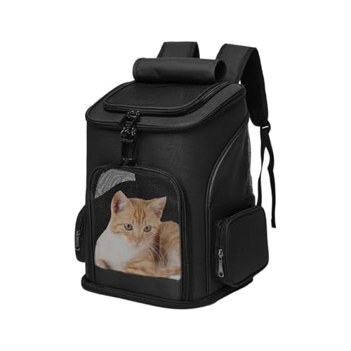 Hiemible Große Katzentransportbox,Weich gepolsterte Faltbare und erweiterbare Tragetasche - Atmungsaktive Haustierrucksäcke Für Auto Flug Tierarztbesuch Pflege Camping Reisen Spaziergänge Outdoor Hiemible Große Katzentransportbox,Weich gepolsterte Faltbare und erweiterbare Tragetasche - Atmungsaktive Haustierrucksäcke Für Auto Flug Tierarztbesuch Pflege Camping Reisen Spaziergänge Outdoor von Hiemible
