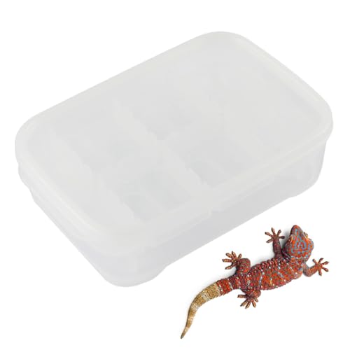Hiemible Schlangen Terrarium | 14-Fach Gecko-Zuchtbox - Transparente Zuchtbox Reptilien Habitat Für Klettern Transport Zuhause Innenbereich Spinnen Skorpione Hiemible Schlangen Terrarium | 14-Fach Gecko-Zuchtbox - Transparente Zuchtbox Reptilien Habitat Für Klettern Transport Zuhause Innenbereich Spinnen Skorpione von Hiemible