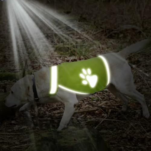 Reflektierende Weste Hund, Hohe Sichtweite Nacht Warnweste Für Hunde Sicherheitsweste, Verstellbar Haustier Kleidung Sicherheit Jacke Für Außenbereich Sicher Vor Autos & Jagtunfällen, Fluoreszierend von Hiemible