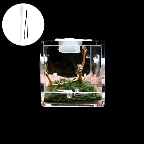 Spider Reptile Insect Feeding Box Reptile Breeding Box Terrarium Accessories Box For Spider Tarantula Snail Cricket Insect small Gecko Tank terrarium lizard land Turtle Box insect reptile Amph Spider Reptile Insect Feeding Box Reptile Breeding Box Terrarium Accessories Box For Spider Tarantula Snail Cricket Insect small Gecko Tank terrarium lizard land Turtle Box insect reptile Amph von Hiessgozy