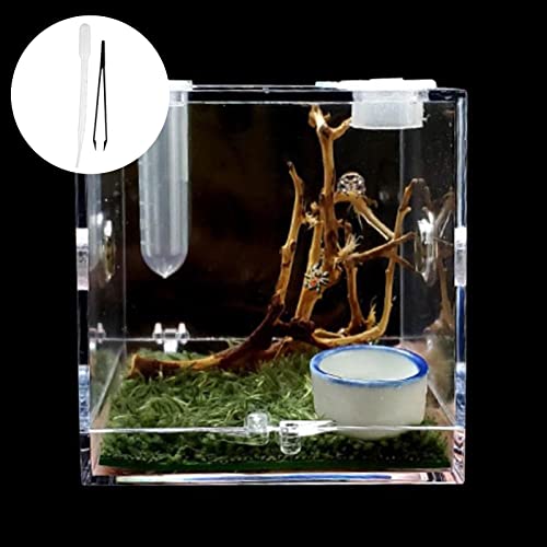 Spinne Reptilien Insektenfutterbox Reptilien Zuchtbox Terrarium Zubeh?r Box Schnecke Insekten Cricket f?r Spinne Tarantula Reptilien Kunststoff Lebensraum Schildkr?te Kit Insekt Reptilien Schildkr?tenk?fig von Hiessgozy