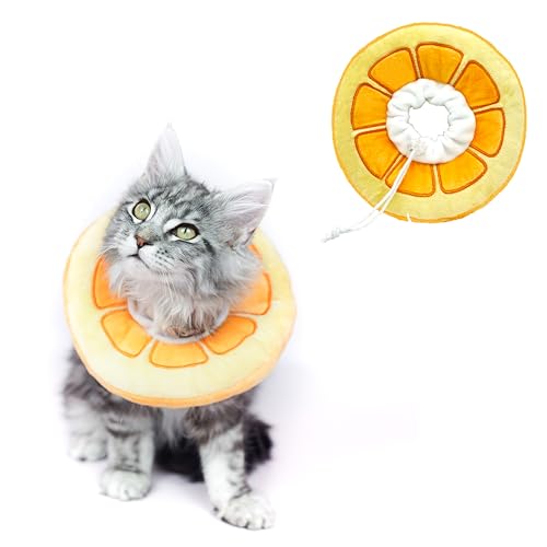 Elizabenthan Halsband für Katzen, Größe M, Orange von Hifo