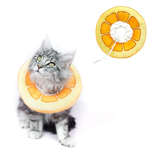 Elizabenthan Halsband für Katzen, Orange, Größe S von Hifo