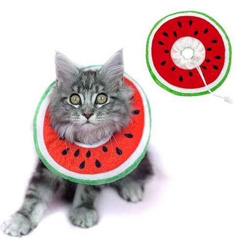 Elizabenthan Halsband für Katzen, Wassermelone, Größe S von Hifo