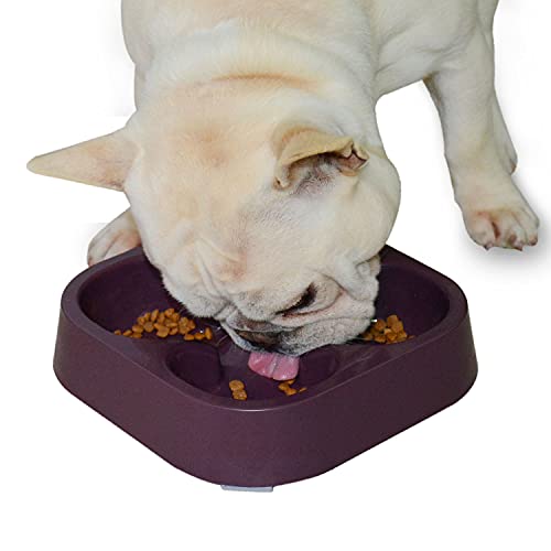Hifrenchies Gesunde französische Bulldogge Langsam fütternde Hundenapf, Hundekatze Langsam fütternde Schüssel, Langsamer Futterautomat für Frenchie(Kaffee vierblättrige Kleeblatt Schüssel) Hifrenchies Gesunde französische Bulldogge Langsam fütternde Hundenapf, Hundekatze Langsam fütternde Schüssel, Langsamer Futterautomat für Frenchie(Kaffee vierblättrige Kleeblatt Schüssel) von Hifrenchies