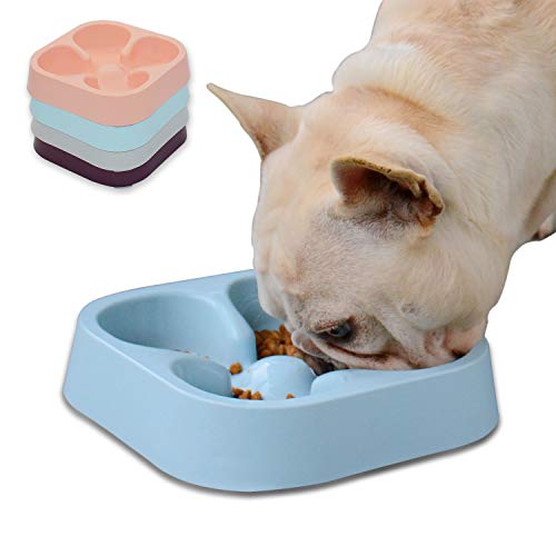 Hifrenchies Gesunde französische Bulldogge Langsam fütternde Hundenapf, Hundekatze Langsam fütternde Schüssel, Langsamer Futterautomat für Frenchie(Blaue vierblättrige Kleeblatt Schüssel) Hifrenchies Gesunde französische Bulldogge Langsam fütternde Hundenapf, Hundekatze Langsam fütternde Schüssel, Langsamer Futterautomat für Frenchie(Blaue vierblättrige Kleeblatt Schüssel) von Hifrenchies