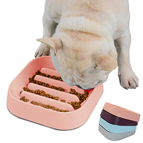 Hifrenchies Gesunde französische Bulldogge Langsam fütternde Hundenapf, Hundekatze Langsam fütternde Schüssel, Langsamer Futterautomat für Frenchie(Rosa Gestreifte Schale) Hifrenchies Gesunde französische Bulldogge Langsam fütternde Hundenapf, Hundekatze Langsam fütternde Schüssel, Langsamer Futterautomat für Frenchie(Rosa Gestreifte Schale) von Hifrenchies