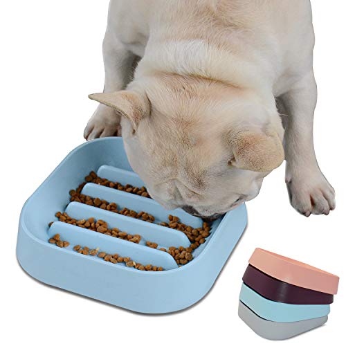 Hifrenchies Gesunde französische Bulldogge Langsam fütternde Hundenapf, Hundekatze Langsam fütternde Schüssel, Langsamer Futterautomat für Frenchie(Blaue Gestreifte Schüssel) Hifrenchies Gesunde französische Bulldogge Langsam fütternde Hundenapf, Hundekatze Langsam fütternde Schüssel, Langsamer Futterautomat für Frenchie(Blaue Gestreifte Schüssel) von Hifrenchies