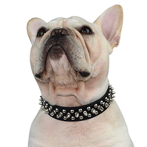 Hifrenchies Hundehalsband mit Nieten, verstellbar, aus Mikrofaser, Leder, für Französische Bulldogge, Mops, geeignet für kleine, mittelgroße und große Hunde(M, Schwarz) von Hifrenchies