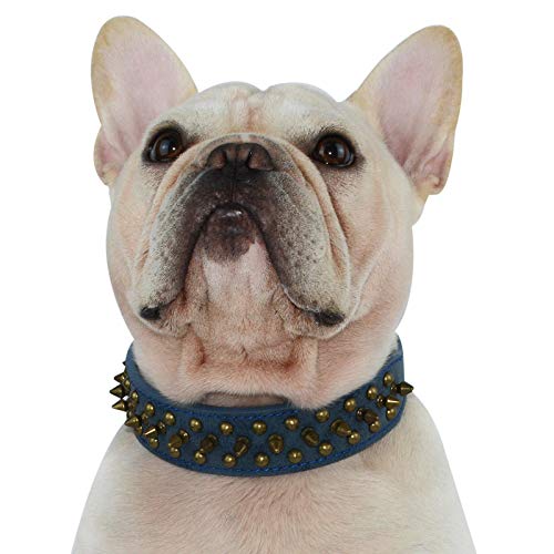 Hifrenchies Hundehalsband mit Nieten, Pilz-Nieten, verstellbar, Mikrofaser-Leder, Haustier-Halsbänder für Französische/Bulldogge/Mops, geeignet für kleine, mittelgroße und große Hunde (S, Antik-Blau) von Hifrenchies