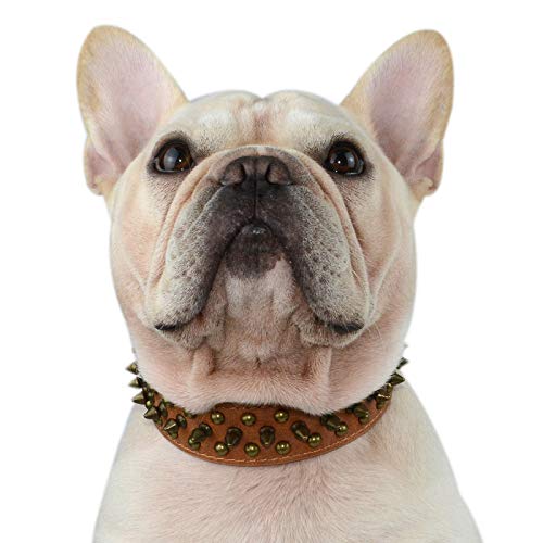 Hifrenchies Hundehalsband mit Nieten, Pilz-Nieten, verstellbar, Mikrofaser-Leder, Haustier-Halsbänder für Französische/Bulldogge/Mops, geeignet für kleine, mittelgroße und große Hunde (XL, antikbraun) von Hifrenchies