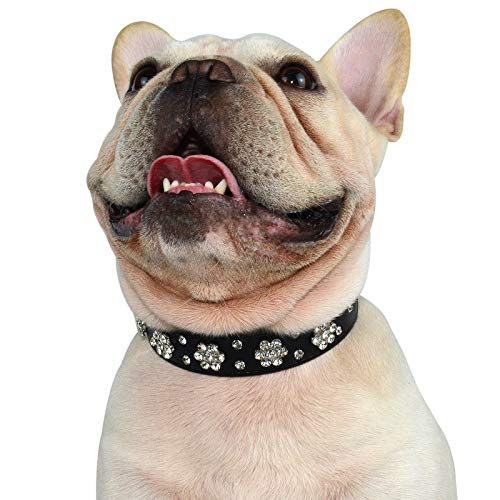 Hifrenchies Hundehalsband mit Strasssteinen, Blumen-Muster, PU-Leder, glitzernd, für französische Bulldogge/kleine und mittelgroße Hunde, Katzen, Größe M, Schwarz von Hifrenchies