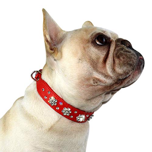 Hifrenchies Niedliches Strass-Blumen-Muster, Hundehalsband, PU-Leder, glitzernde Kristalldiamanten, Halsband für Französische Bulldogge/kleine mittelgroße Hunde und Katzen (XS, rot) von Hifrenchies