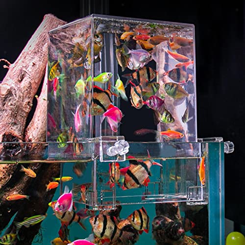 Hifybaty Unterdruck-Fischbecken – Klarer Fischaufzug mit automatischer Nachfüllung, Wasserstandspflege, erhöht den Aktivitätsbereich des Fisches, Aquarium-Dekoration, vakuumhängtes Aquarium von Hifybaty