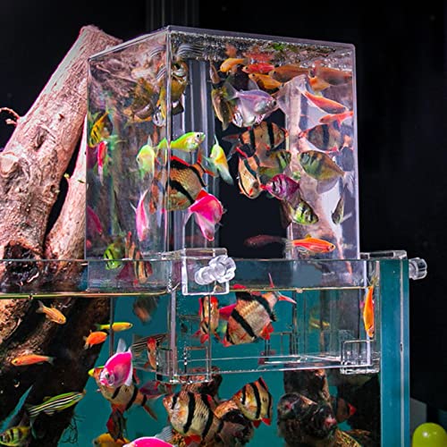 Hifybaty Aquarium mit Unterdruck: Klarer Fischaufzug, Wasser, automatisches Nachfüllen, Vakuum, hängender Wasserstand, erhöht den Aktivitätsbereich der Fische, Aquarium-Dekoration Hifybaty Aquarium mit Unterdruck: Klarer Fischaufzug, Wasser, automatisches Nachfüllen, Vakuum, hängender Wasserstand, erhöht den Aktivitätsbereich der Fische, Aquarium-Dekoration von Hifybaty