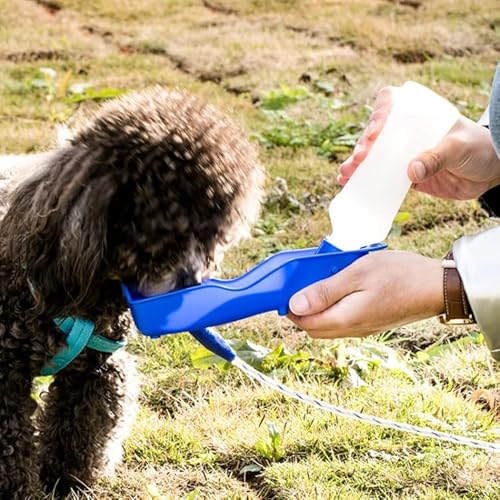 Tragbare Wasserflasche für den Außenbereich, 250 ml, zufällige Farbauswahl Tragbare Wasserflasche für den Außenbereich, 250 ml, zufällige Farbauswahl von High-Tech Place