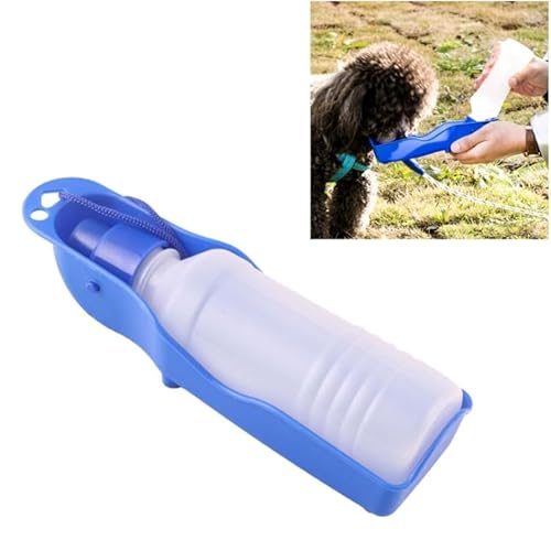 Tragbare Wasserflasche für den Außenbereich, 250 ml, zufällige Farbauswahl von High-Tech Place