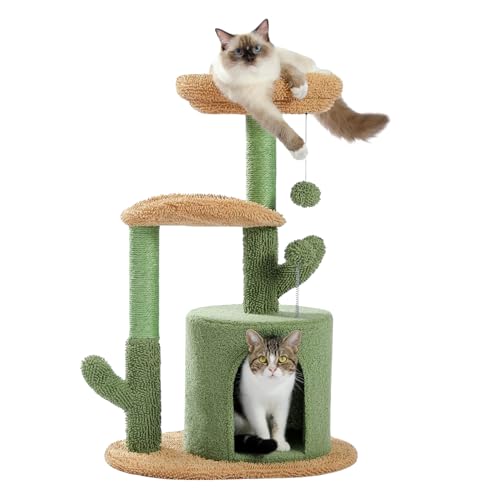 High Aspect® Kratzbaum Kaktus - 78CM - Kleine bis mittelgroße Katzen - Katzenkratzbaum für Katzen - Katzenturm - Katzenhaus - Sisalseil - Krabton - Katzenkratzbaum - Katzenkratzbaum - Katzenkratzbaum von High aspect