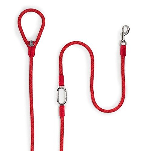 High5Dogs, Ergonomische Hundeleine, 250 cm, Orange, leicht und langlebig, ideal für optimale Kontrolle beim Spaziergang, 13 mm, Orange, Freizeit-Clic-Modell von High5Dogs