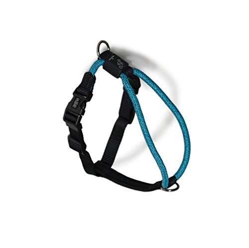 High5Dogs Ergonomisches Sicherheitsgeschirr für Freizeitaktivitäten, verstellbar und langlebig, ideal zum Klettern und Wandern, Größe S, blau, 7 x 41–53 cm, Freizeit-Seilmodell von High5Dogs