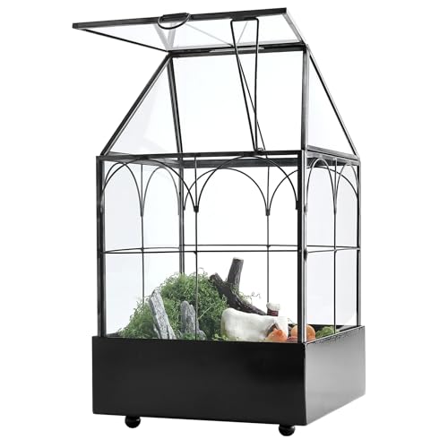 HighFree Glasterrarium mit Metallschale, Gewächshaus-Set für Sukkulenten, Kakteen, Schnecken, Spinnen und Miniaturreptilien, Schwarz, 15 x 15 x 26 cm HighFree Glasterrarium mit Metallschale, Gewächshaus-Set für Sukkulenten, Kakteen, Schnecken, Spinnen und Miniaturreptilien, Schwarz, 15 x 15 x 26 cm von HighFree