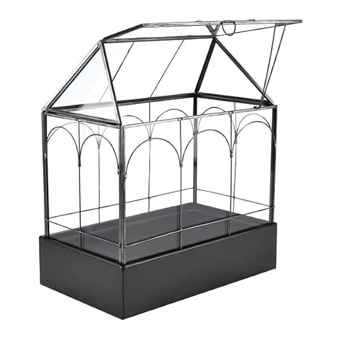 HighFree Großes Glas-Terrarium-Pflanzgefäß mit wasserdichtem Tablett, für Sukkulenten, Kakteen, Schnecken, Spinnen und Miniatur-Reptilien, Schwarz, 30 cm HighFree Großes Glas-Terrarium-Pflanzgefäß mit wasserdichtem Tablett, für Sukkulenten, Kakteen, Schnecken, Spinnen und Miniatur-Reptilien, Schwarz, 30 cm von HighFree