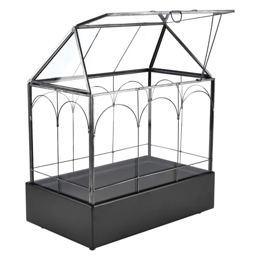 HighFree Großes Glasterrarium mit Metallwanne und Kugelfüßen, Gewächshaus-Set für Sukkulenten, Kakteen, Schnecken, Spinnen und Miniatur-Reptilien, Schwarz HighFree Großes Glasterrarium mit Metallwanne und Kugelfüßen, Gewächshaus-Set für Sukkulenten, Kakteen, Schnecken, Spinnen und Miniatur-Reptilien, Schwarz von HighFree