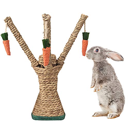 Bunny Chew Toys, Kaninchen Kratzen Klettern Spaß Baum mit Karottenform Spielzeug, Handgewebtes Seegras Kauspielzeug für Kaninchen Katzen Hamster Rennmäuse Zähne Schleifen von Highland Farms Select