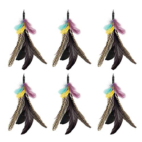 Highland Farms Select handgefertigt natur Feder Katzenspielzeug Da Bird, Minen, interaktives Spielzeug Katze und Kätzchen, Only 6 Packs Feather Cat Toys von Highland Farms Select