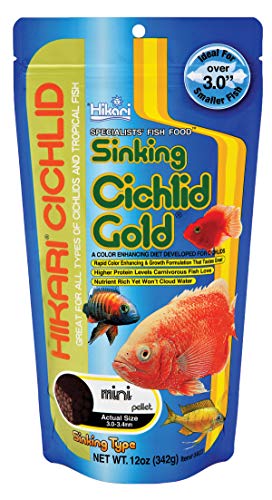 HIKARI USA INC. 49323/598 Hikari Cichlid Gold Sinking Mini Pellets (Size: 342g) von Hikari