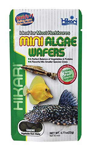 HIKARI M138196 Mini Algae Wafers 22G, 1000 ml von Hikari