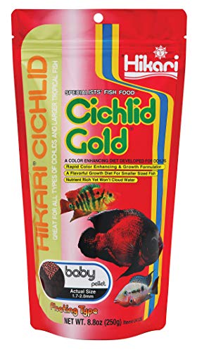 HIKARI SALES U.S.A,INC 260233/1088 Hikari Cichlid Gold Baby 250g, einen Artikel HIKARI SALES U.S.A,INC 260233/1088 Hikari Cichlid Gold Baby 250g, einen Artikel von Hikari